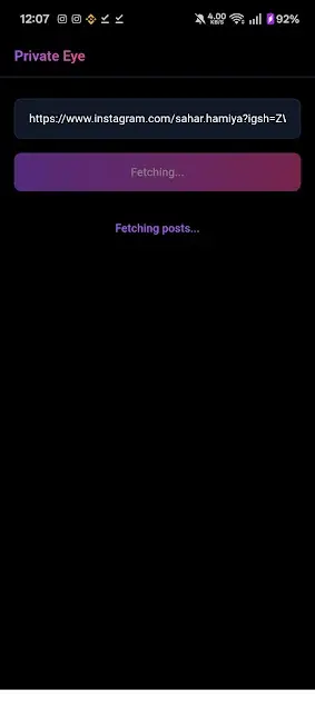 Screenshot of See Private Instagram